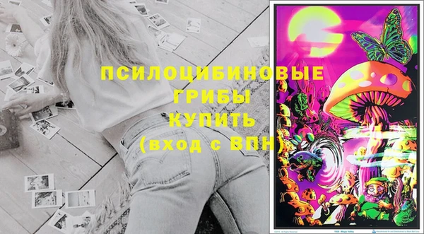 прущие грибы Козловка