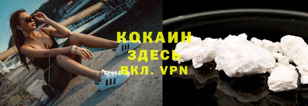прущие грибы Козловка