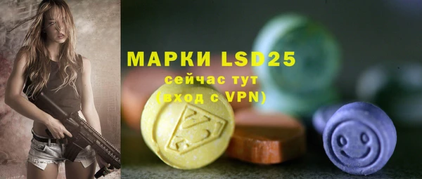 прущие грибы Козловка