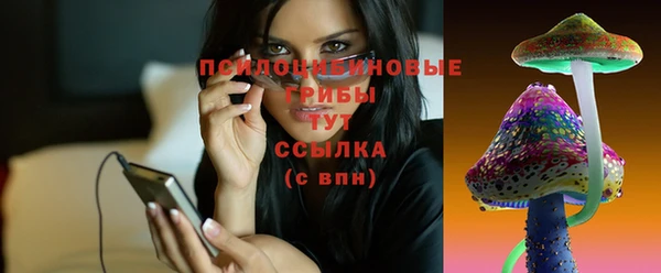 прущие грибы Козловка