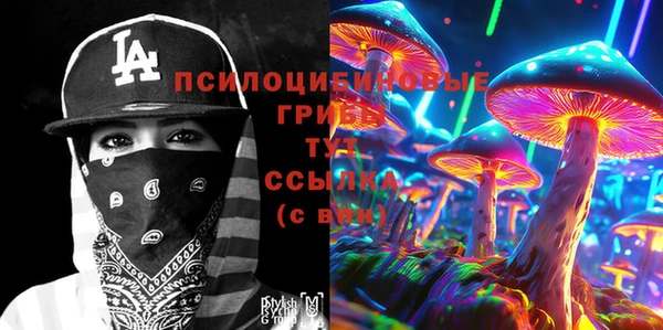 прущие грибы Козловка