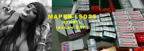 индика Киренск