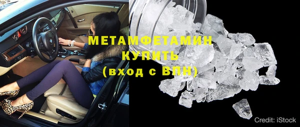 прущие грибы Козловка
