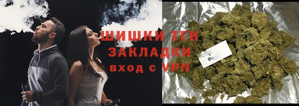 прущие грибы Козловка